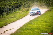 15.-adac-msc-rallye-alzey-2017-rallyelive.com-8428.jpg